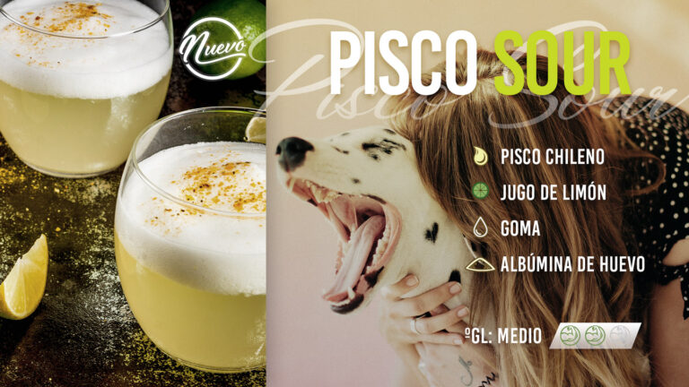 Horus-Pisco-Sour